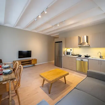 Historic 2 Bedroom Galata Apt-heart Of Kuledibi 3 شقة